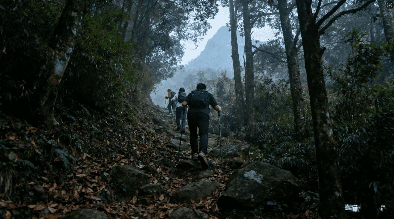 如何使用极光加速器实现极速稳定的翻墙体验
